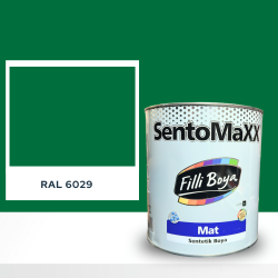 FİLLİ BOYA SENTOMAXX BOYA RAL 6029
