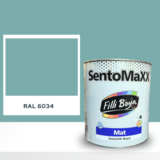FİLLİ BOYA SENTOMAXX BOYA RAL 6034 FİLLİ BOYA SENTOMAXX BOYA RAL 6034