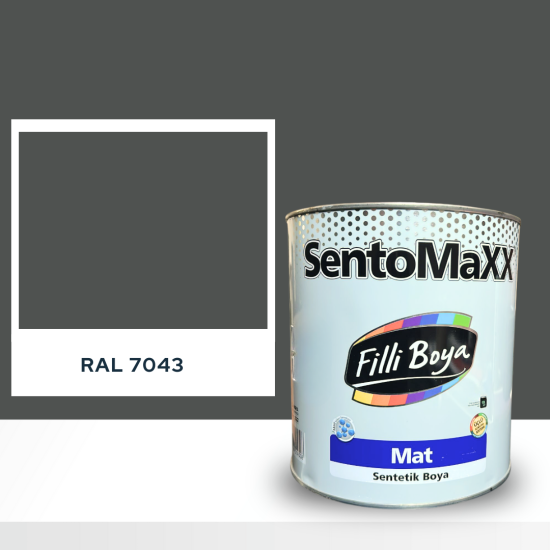 FİLLİ BOYA SENTOMAXX BOYA RAL 7043 FİLLİ BOYA SENTOMAXX BOYA RAL 7043